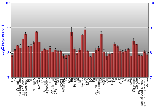 Expression graph