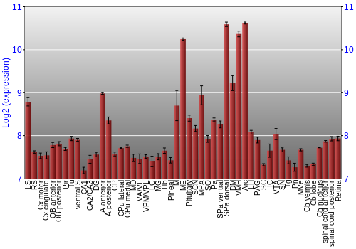 Expression graph