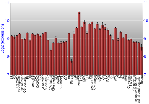 Expression graph
