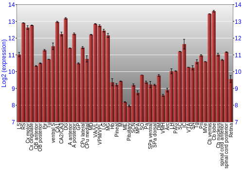 Expression graph