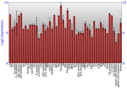 Expression graph