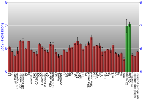 Multi-state expression graph