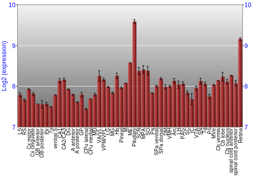 Expression graph