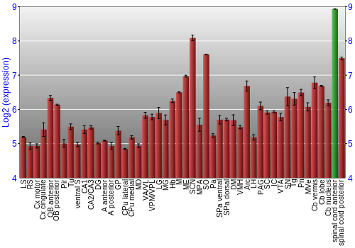 Multi-state expression graph