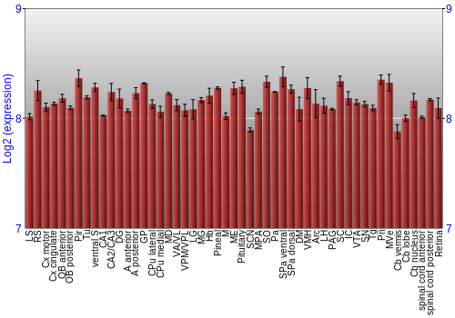 Expression graph