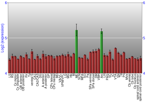 Multi-state expression graph