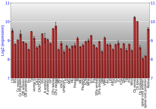 Expression graph