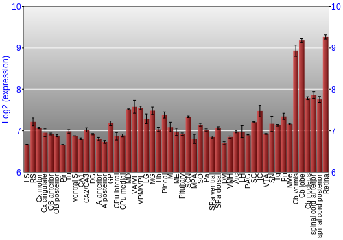 Expression graph