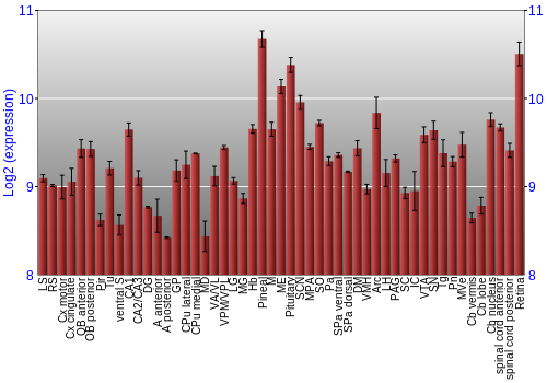 Expression graph