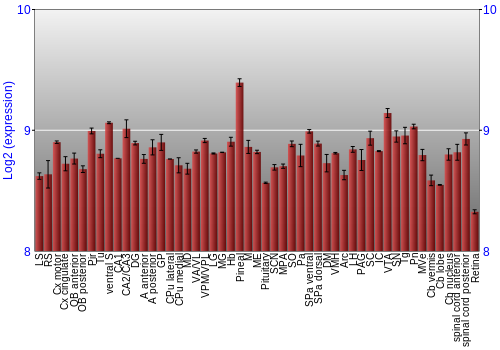 Expression graph