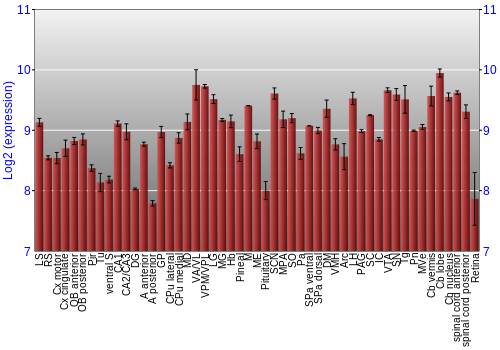 Expression graph