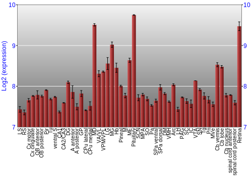 Expression graph