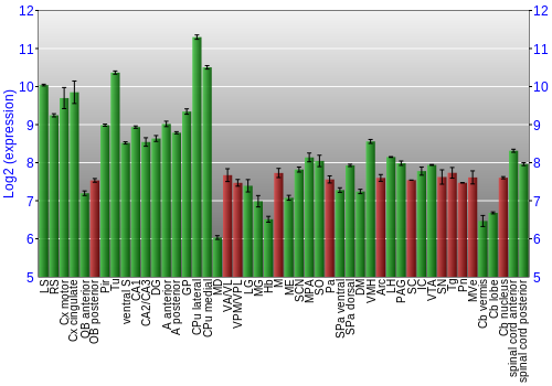 Multi-state expression graph