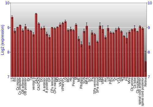 Expression graph