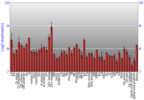 Expression graph