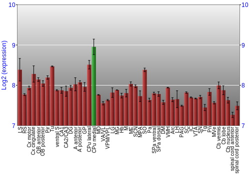 Multi-state expression graph