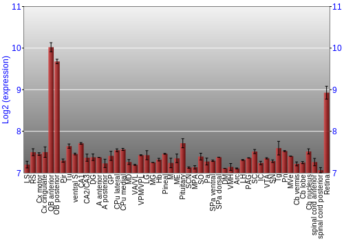 Expression graph