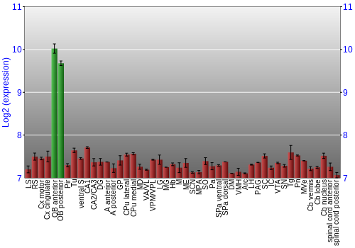 Multi-state expression graph