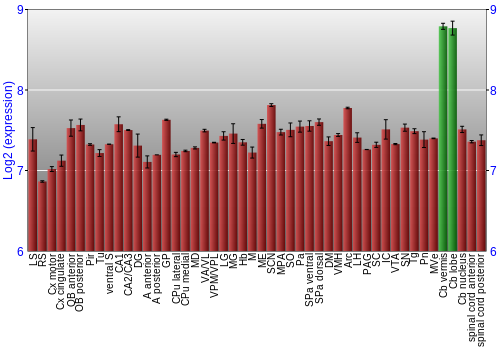 Multi-state expression graph