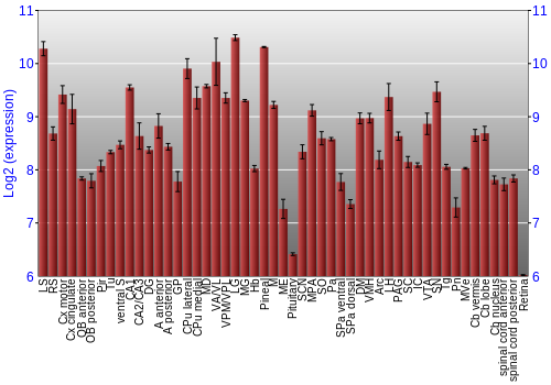 Expression graph