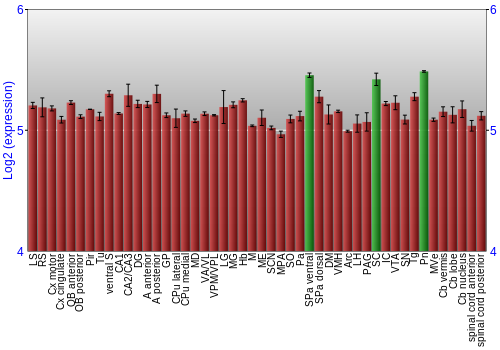 Multi-state expression graph