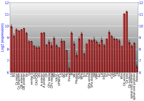 Expression graph