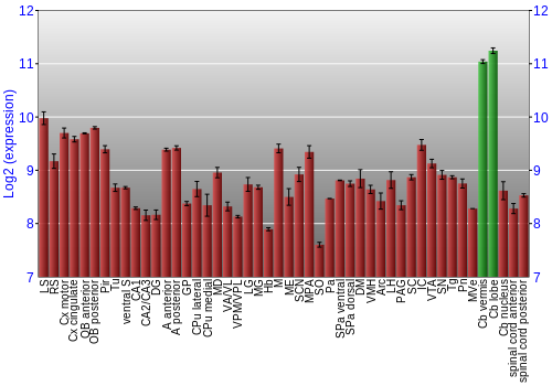 Multi-state expression graph
