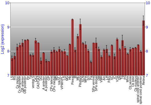Expression graph