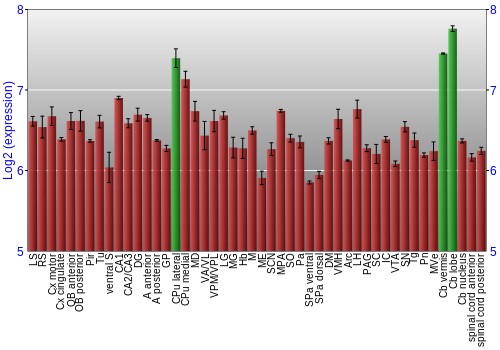Multi-state expression graph