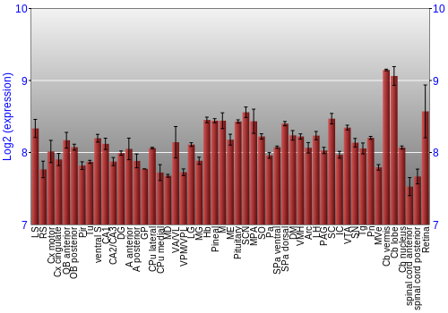 Expression graph