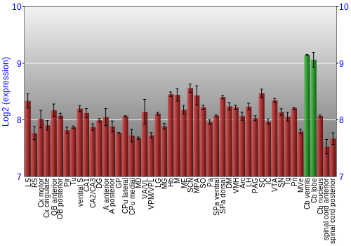 Multi-state expression graph