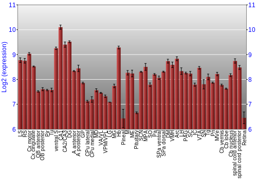 Expression graph