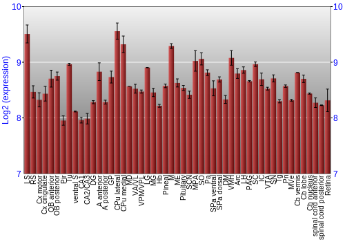 Expression graph