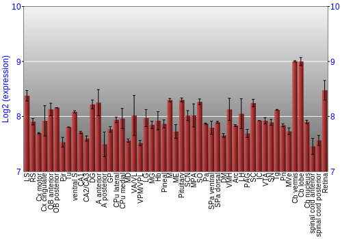Expression graph