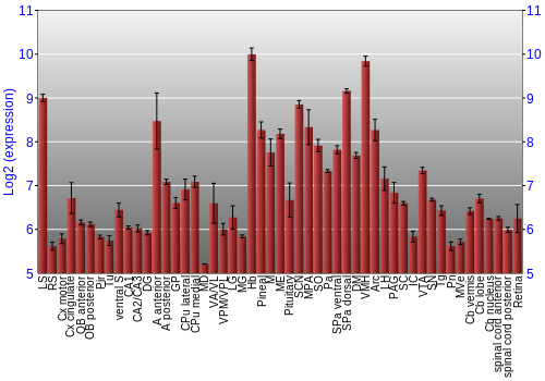 Expression graph