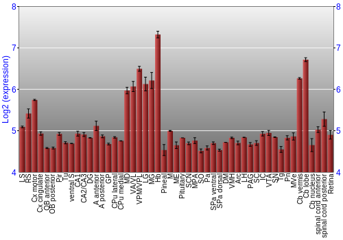 Expression graph
