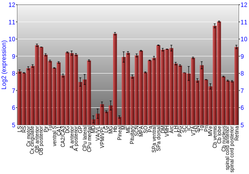 Expression graph