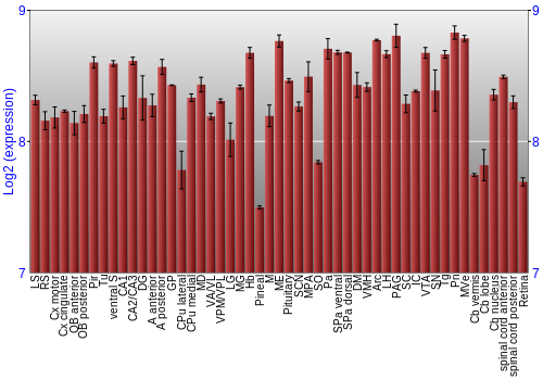 Expression graph