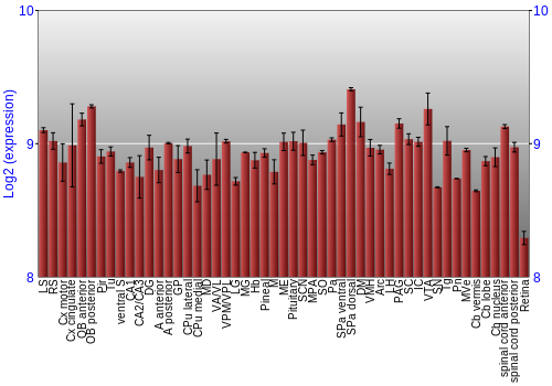 Expression graph
