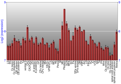 Expression graph