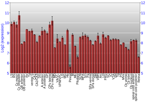 Expression graph