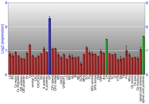 Multi-state expression graph