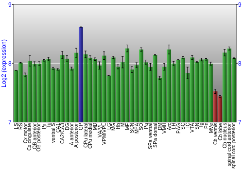 Multi-state expression graph