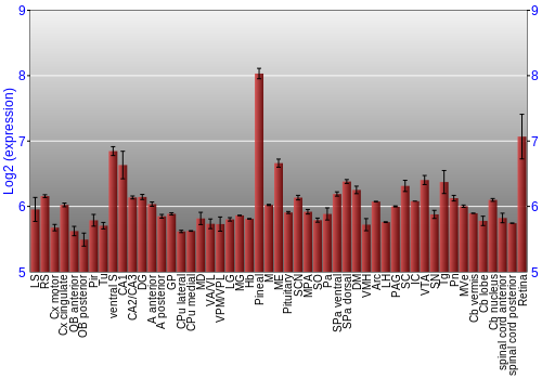 Expression graph