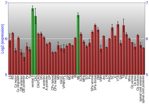 Multi-state expression graph