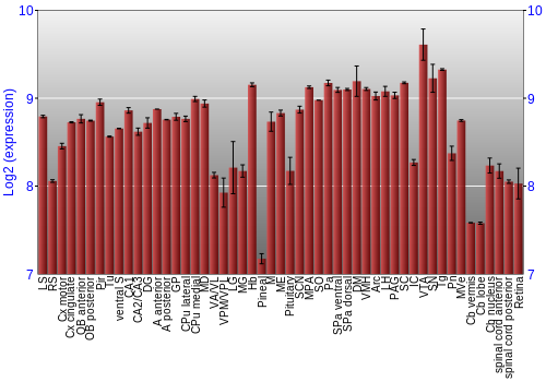 Expression graph