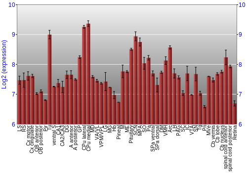 Expression graph