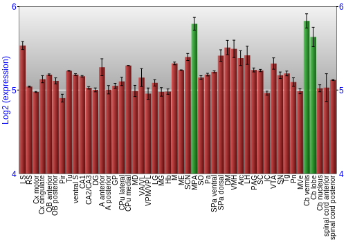 Multi-state expression graph