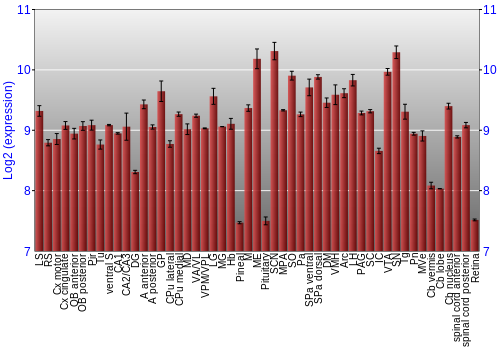 Expression graph