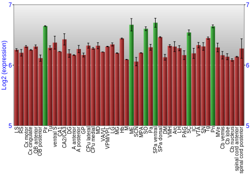 Multi-state expression graph